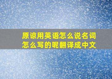 原谅用英语怎么说名词怎么写的呢翻译成中文