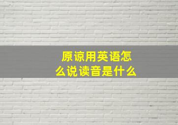 原谅用英语怎么说读音是什么