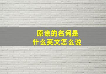 原谅的名词是什么英文怎么说