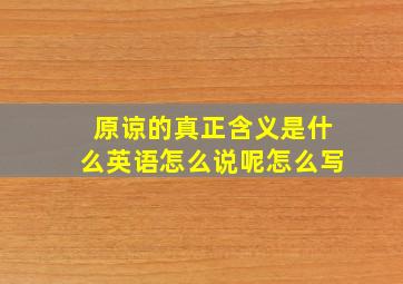 原谅的真正含义是什么英语怎么说呢怎么写