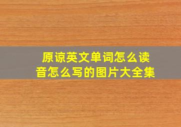 原谅英文单词怎么读音怎么写的图片大全集