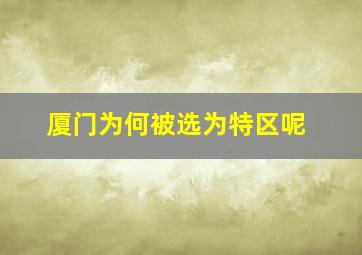 厦门为何被选为特区呢