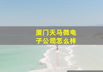 厦门天马微电子公司怎么样