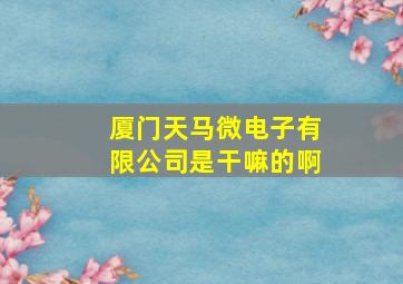 厦门天马微电子有限公司是干嘛的啊