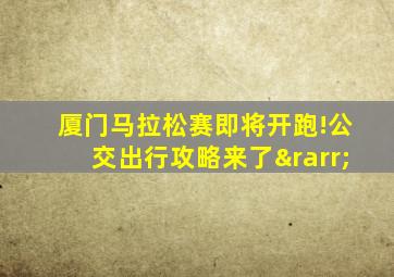 厦门马拉松赛即将开跑!公交出行攻略来了→