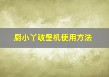 厨小丫破壁机使用方法