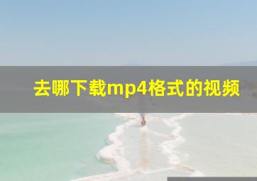 去哪下载mp4格式的视频