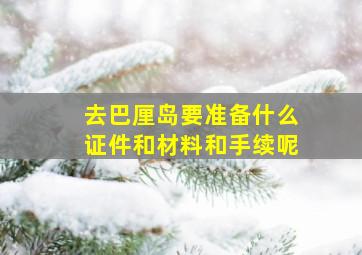 去巴厘岛要准备什么证件和材料和手续呢