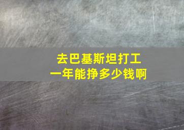 去巴基斯坦打工一年能挣多少钱啊