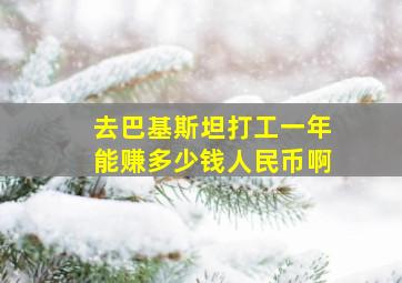 去巴基斯坦打工一年能赚多少钱人民币啊