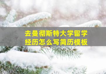 去曼彻斯特大学留学经历怎么写简历模板