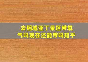 去稻城亚丁景区带氧气吗现在还能带吗知乎