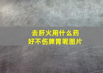 去肝火用什么药好不伤脾胃呢图片