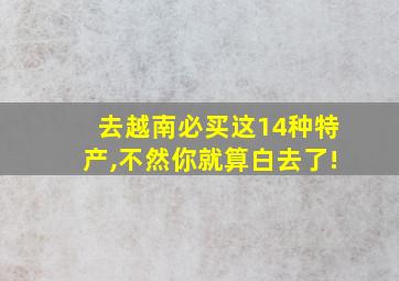 去越南必买这14种特产,不然你就算白去了!