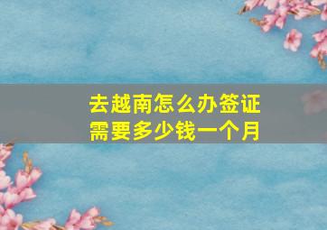 去越南怎么办签证需要多少钱一个月