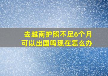 去越南护照不足6个月可以出国吗现在怎么办