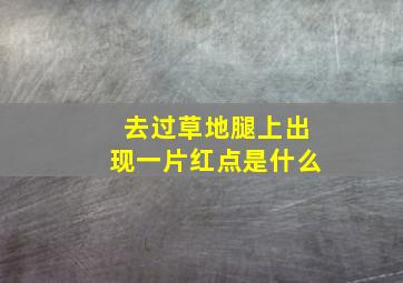 去过草地腿上出现一片红点是什么