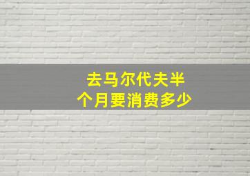 去马尔代夫半个月要消费多少