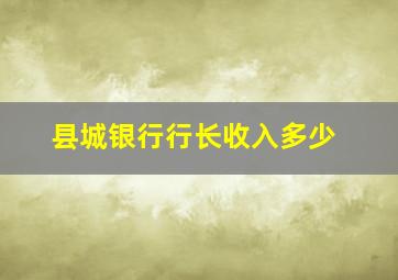 县城银行行长收入多少