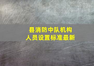 县消防中队机构人员设置标准最新