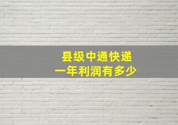 县级中通快递一年利润有多少