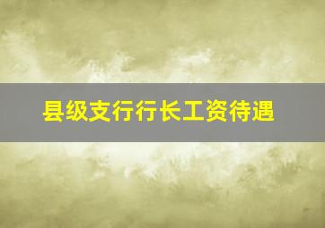 县级支行行长工资待遇