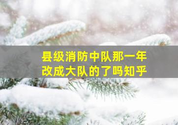 县级消防中队那一年改成大队的了吗知乎