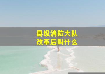 县级消防大队改革后叫什么