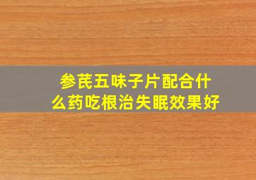 参芪五味子片配合什么药吃根治失眠效果好