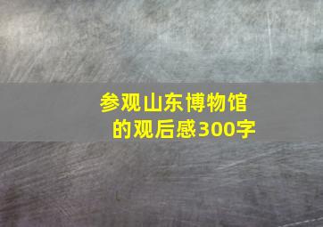 参观山东博物馆的观后感300字