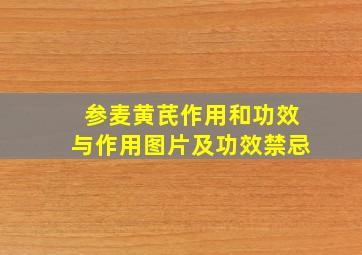 参麦黄芪作用和功效与作用图片及功效禁忌