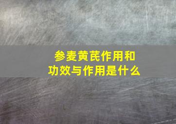 参麦黄芪作用和功效与作用是什么