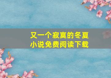 又一个寂寞的冬夏小说免费阅读下载