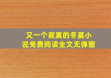 又一个寂寞的冬夏小说免费阅读全文无弹窗