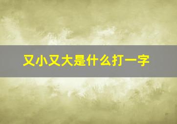 又小又大是什么打一字