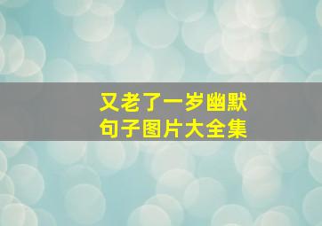 又老了一岁幽默句子图片大全集