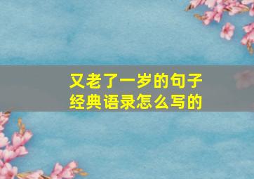 又老了一岁的句子经典语录怎么写的