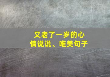 又老了一岁的心情说说、唯美句子