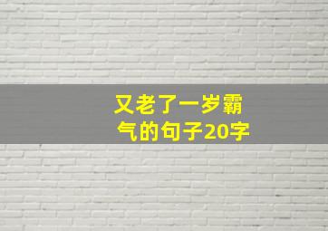 又老了一岁霸气的句子20字