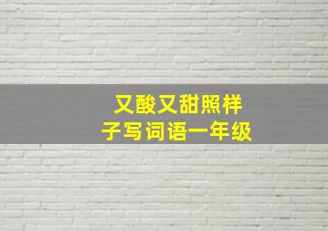 又酸又甜照样子写词语一年级