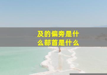 及的偏旁是什么部首是什么