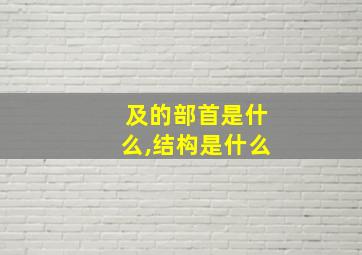 及的部首是什么,结构是什么