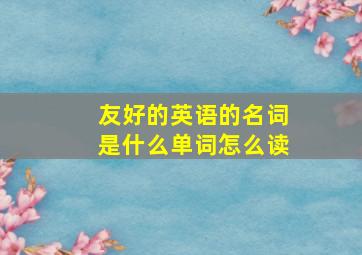 友好的英语的名词是什么单词怎么读