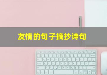 友情的句子摘抄诗句