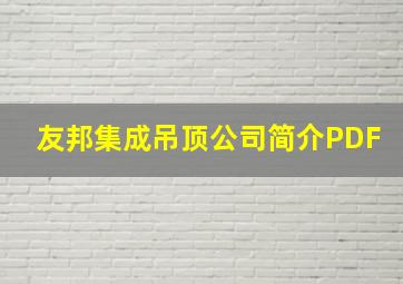 友邦集成吊顶公司简介PDF