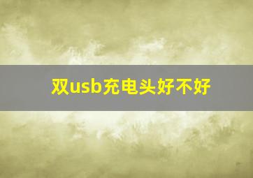 双usb充电头好不好