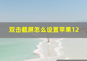 双击截屏怎么设置苹果12