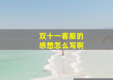 双十一客服的感想怎么写啊