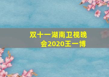 双十一湖南卫视晚会2020王一博