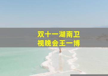 双十一湖南卫视晚会王一博